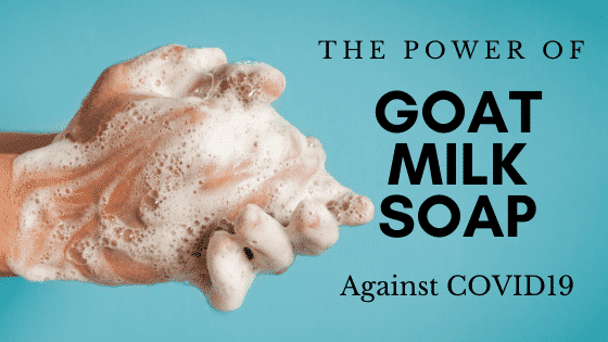 power of goat milk soap